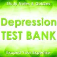 Icon of program: Depression Exam Review Ap…