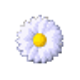 Icon of program: GSA Image Analyser