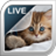 Icon of program: Kittens Live Wallpaper