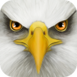 Ultimate Bird Simulator icon