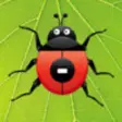 Icon of program: Ladybug Subtraction