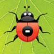 Icon of program: Ladybug Subtraction