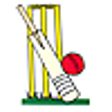 Icon of program: Cricket World Records for…