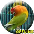 Icon of program: MP3 Lovebird Paud Offline