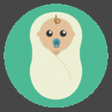 Icon of program: Baby Pics Studio for Wind…