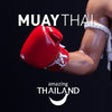Icon of program: Muay Thai