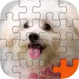 Icon of program: Puppy Play Jigsaw Puzzle …