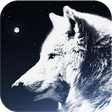Icono de programa: Wolf Wallpaper