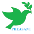 Icon of program: Pheasant ERP