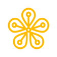 Icon of program: BruneiID