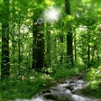 Icono de programa: Sunny River Screensaver