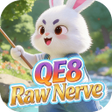 Icon of program: QE8 Raw Nerve