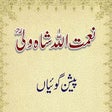 Icono de programa: Naimat Ullah Shah Wali Pr…