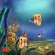 Icono de programa: Animated Aquarium Screens…