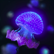 Icono de programa: Live Gallery for Windows …