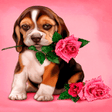 Icon of program: Puppy Rose Live Wallpaper