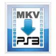 Icon of program: MKV2PS3