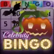 Icon of program: Bingo Offline Celebrity B…