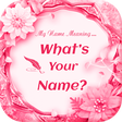 Icon of program: What is in your Name - Wh…