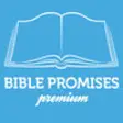 Icon of program: Bible Promises Premium