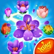 Icon of program: Blossom Blast Saga