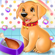 Icono de programa: Labrador Pet Dog Daycare