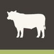 Icon of program: Beeflexible