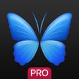 Icon of program: Everpix Pro - HD Wallpape…
