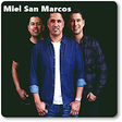 Musica Miel San Marcos icon