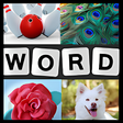Icono de programa: Word Picture - IQ Word Br…