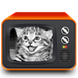 Icono de programa: GIFs