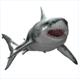 Icono de programa: Shark Aquarium for Window…