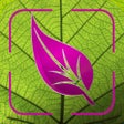 Icon of program: Plant Disease Identifier