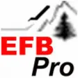Icon of program: EFB-Pro