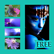 Icono del programa: Photo Joiner - Free Photo…