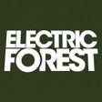 Icon of program: Electric Forest Festival