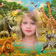 Wild Animal Photo Frames icon