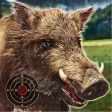 Icon of program: Wild Boar Target Shooting