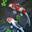 Icon of program: Water Garden Live Wallpap…