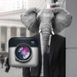 Icon of program: Animal Face Camera Free