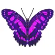 Icon of program: Butterfliestry