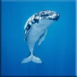 Icon of program: Blue Whale Lock Screen