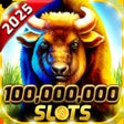 Icon of program: Baba Wild Slots