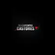 Icon of program: Castores