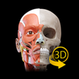 Icono de programa: Muscular System - 3D Atla…