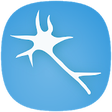 Icon of program: Neuronify