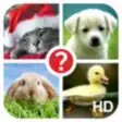 Icon of program: Guess the word HD ~ 4 Pix…