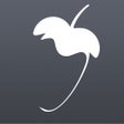 FLSM icon