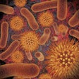 Icon of program: Infectious Disease Compen…