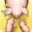 Icon of program: Happy Oink